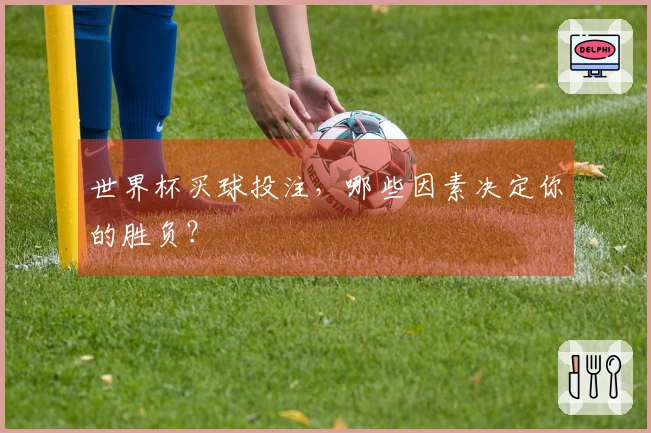 世界杯买球投注，哪些因素决定你的胜负？