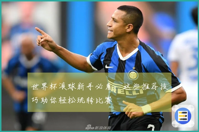 世界杯滚球新手必看，这些推荐技巧助你轻松玩转比赛