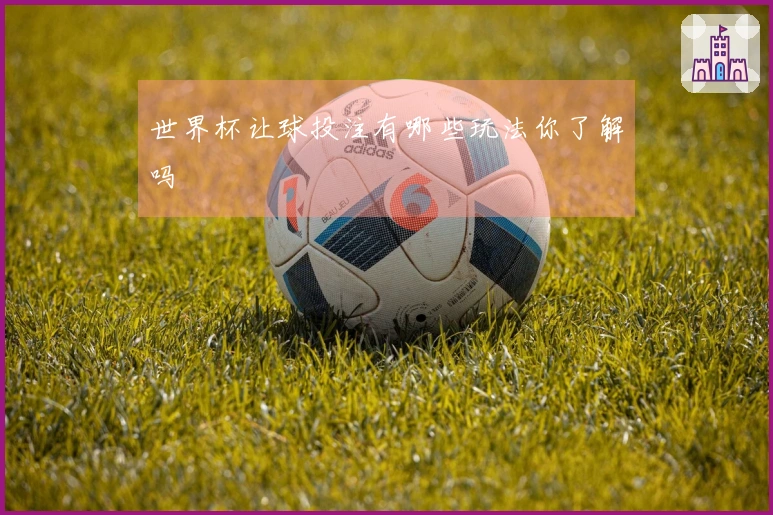 世界杯让球投注有哪些玩法你了解吗