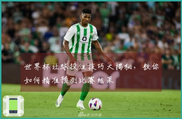 世界杯让球投注技巧大揭秘，教你如何精准预测比赛结果