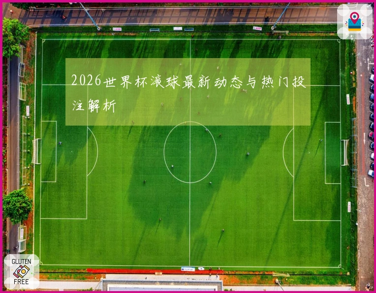 2026世界杯滚球最新动态与热门投注解析