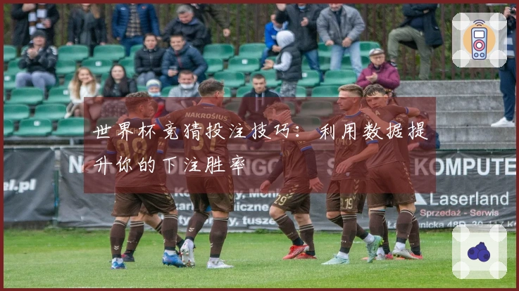 世界杯竞猜投注技巧：利用数据提升你的下注胜率