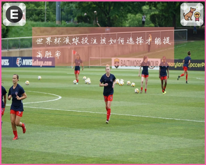 世界杯滚球投注该如何选择才能提高胜率