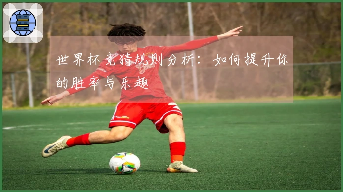 世界杯竞猜规则分析：如何提升你的胜率与乐趣