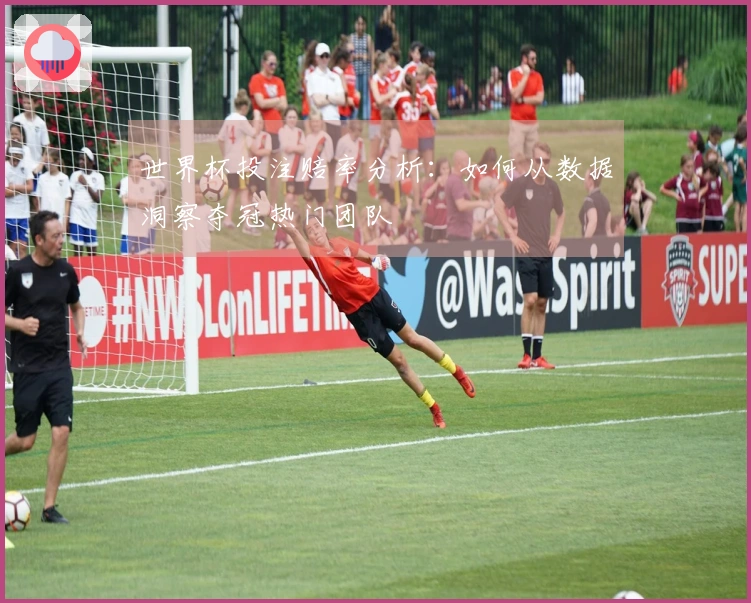 世界杯投注赔率分析：如何从数据洞察夺冠热门团队