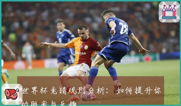 世界杯竞猜规则分析：如何提升你的胜率与乐趣